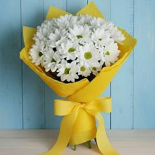 Букет цветов из:  Хризантемы в Новая Заимка