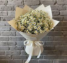 Букет цветов из:  Ромашки в Новая Заимка