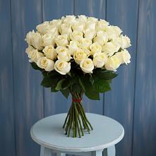 Букет 51 Белая роза Эдлесс Лав #REPLACE_PRED# Новая Заимка