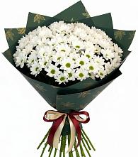 Букет цветов из:  Хризантемы в Новая Заимка