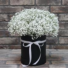 Цветочная композиция из Гипсофила в шляпной коробке в Новая Заимка