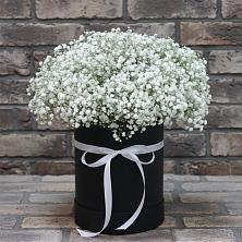 Цветочная композиция из Гипсофила в шляпной коробке в Новая Заимка