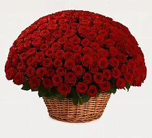 Премиум букет из: Розы в Новая Заимка