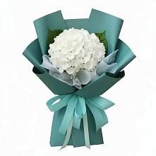 Букет цветов из:  Гортензия #REPLACE_PRED# Новая Заимка
